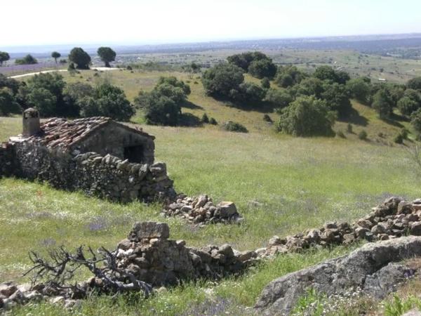 Terreno en Las Vegas - El Pozanco - Adelfillas