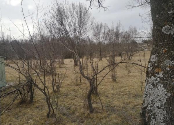 Terreno en mazacorta s/n