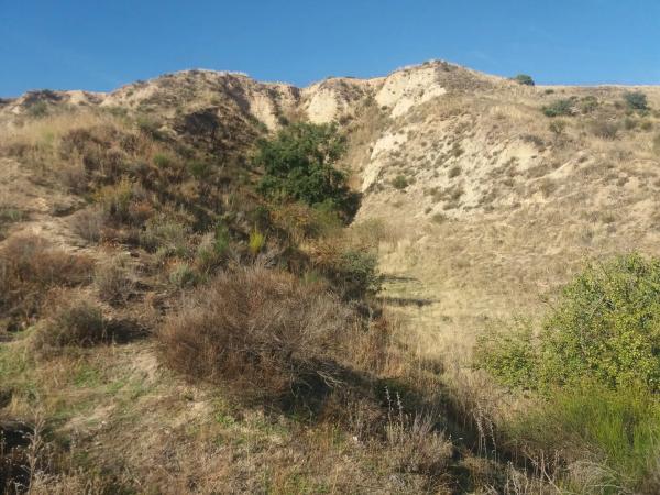 Terreno en Poligono 12, 491 Parcela
