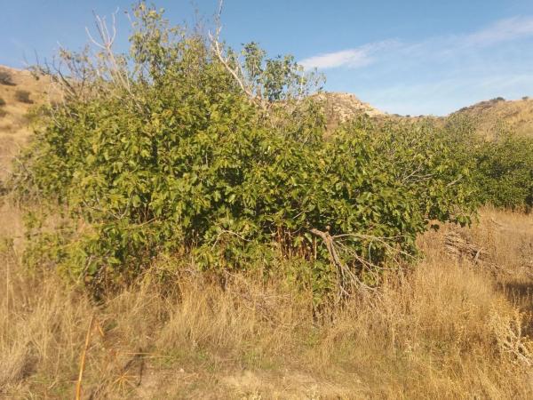 Terreno en Poligono 12, 491 Parcela