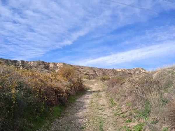 Terreno en Poligono 12, 491 Parcela