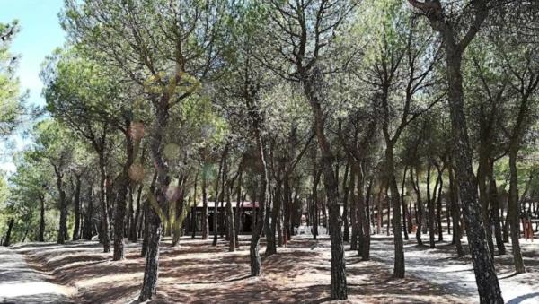 Terreno en calle la Fuente