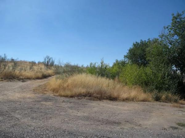 Terreno en calle del Río Tajo s/n Sn