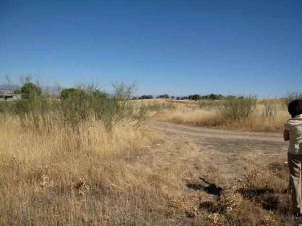 Terreno en calle del Río Tajo s/n Sn