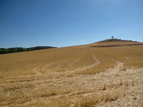 Terreno en calle del Río Tajo s/n Sn