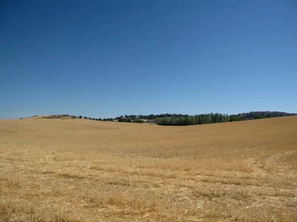 Terreno en calle del Río Tajo s/n Sn