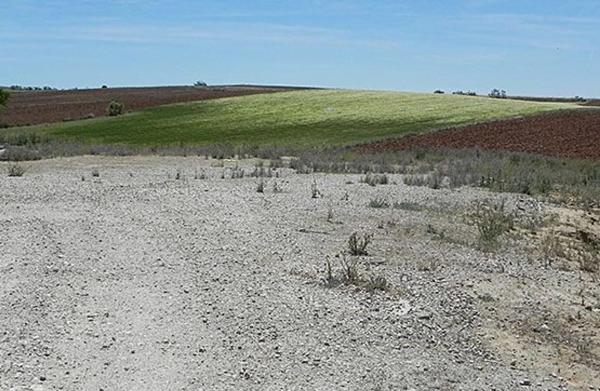 Terreno en camino de Alvir