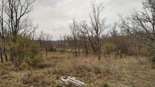 Terreno en calle Real, 174