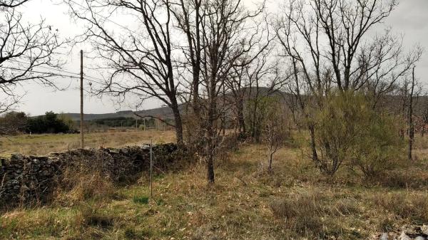 Terreno en calle Real, 174