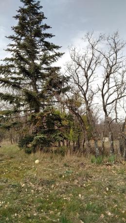 Terreno en calle Real, 174