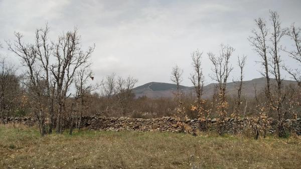 Terreno en calle Real, 174
