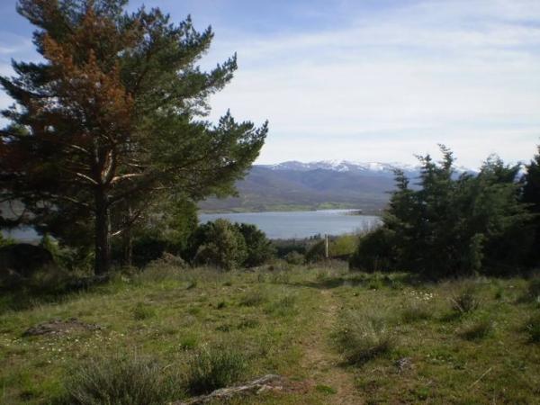 Terreno en calle de las Cuestas, 37