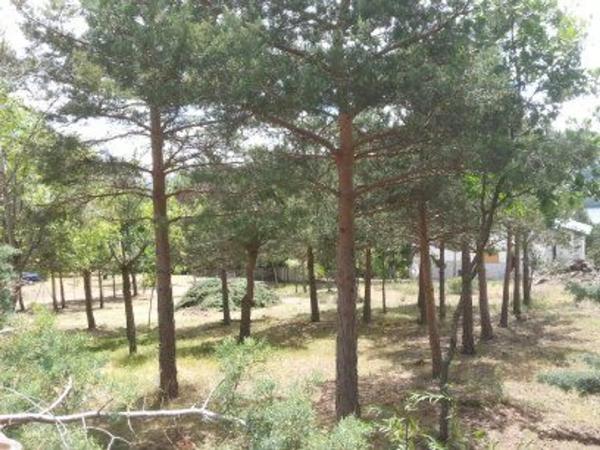 Terreno en calle de las Cuestas, 37