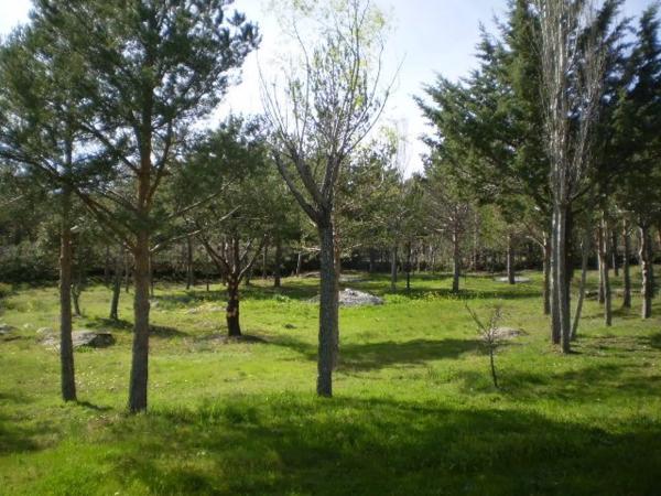 Terreno en calle de las Cuestas, 37