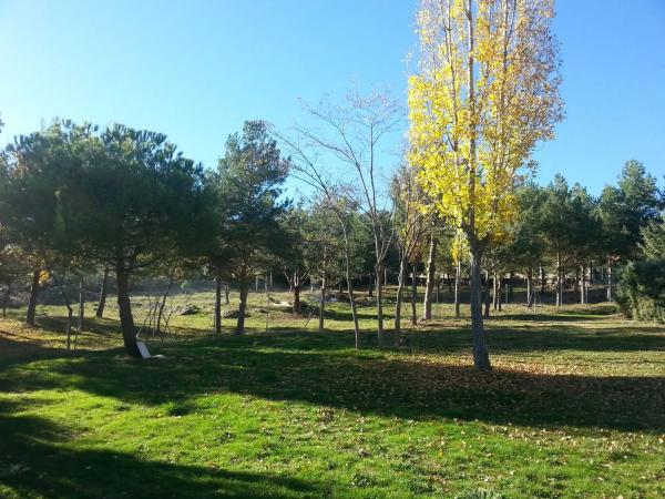 Terreno en calle de las Cuestas, 37