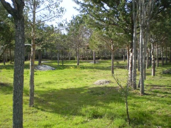 Terreno en calle de las Cuestas, 37