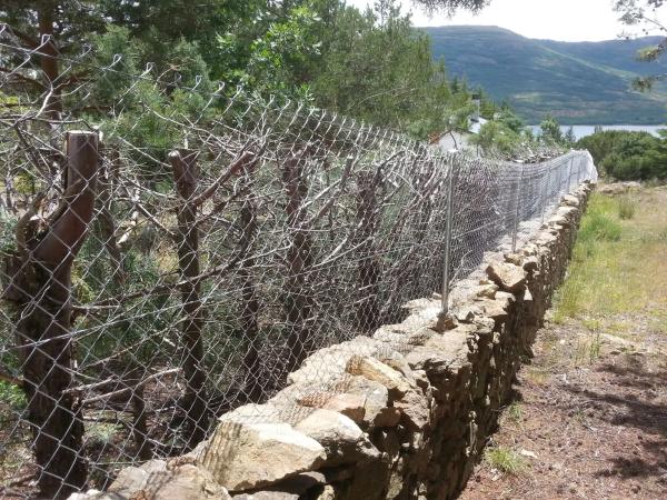 Terreno en calle de las Cuestas, 37