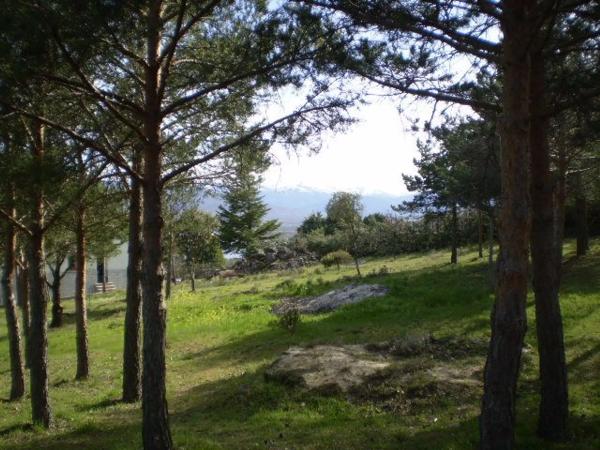 Terreno en calle de las Cuestas, 37