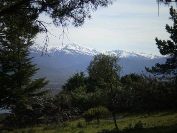 Terreno en calle de las Cuestas, 37