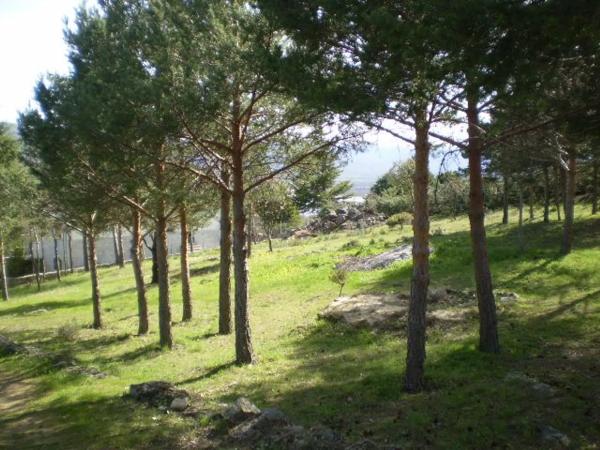 Terreno en calle de las Cuestas, 37