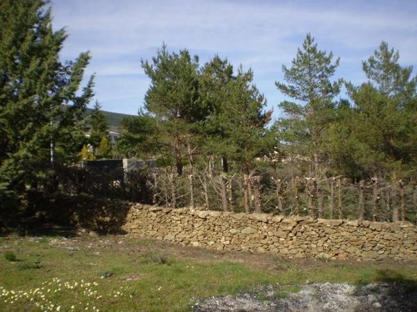 Terreno en calle de las Cuestas, 37