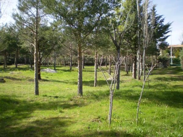 Terreno en calle de las Cuestas, 37