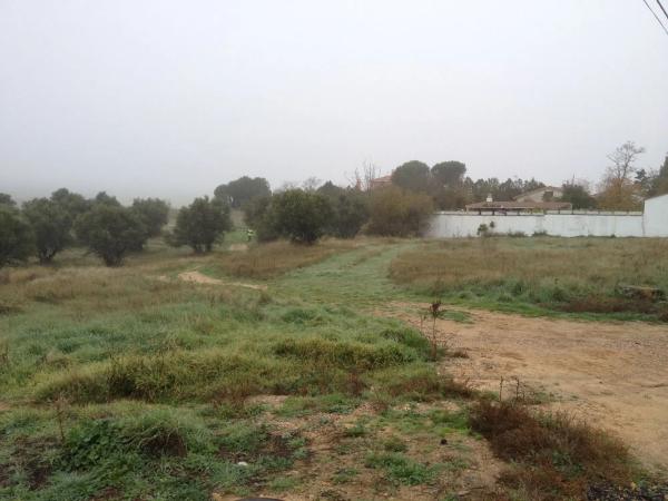 Terreno en paseo del Pinar, 13
