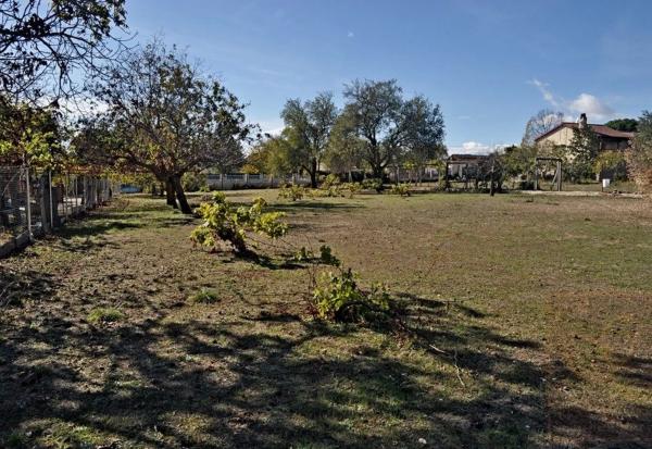 Terreno en calle del Ruiseñor, 4