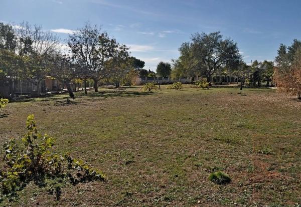 Terreno en calle del Ruiseñor, 4