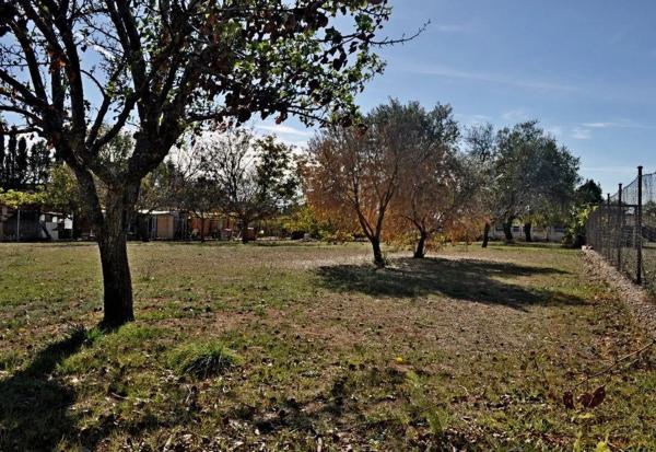 Terreno en calle del Ruiseñor, 4