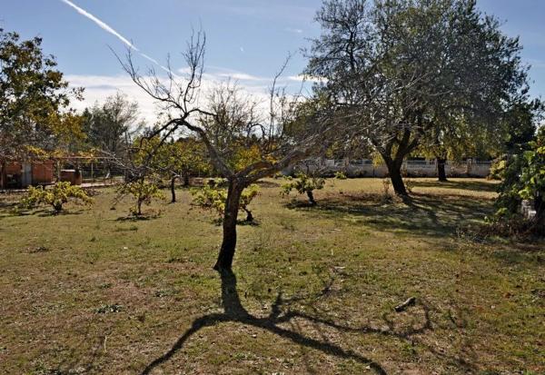 Terreno en calle del Ruiseñor, 4