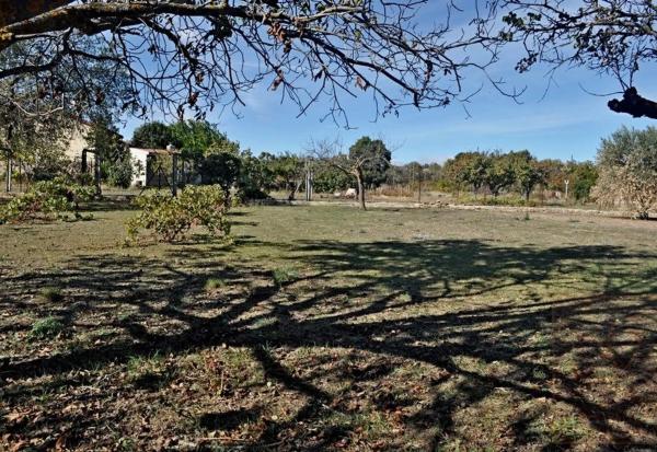 Terreno en calle del Ruiseñor, 4