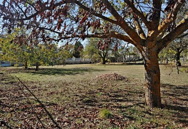 Terreno en calle del Ruiseñor, 4