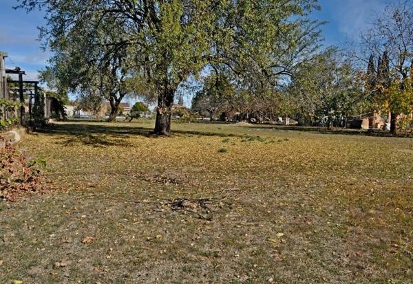 Terreno en calle del Ruiseñor, 4