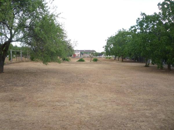 Terreno en calle del Ruiseñor, 4