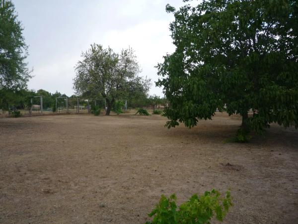 Terreno en calle del Ruiseñor, 4
