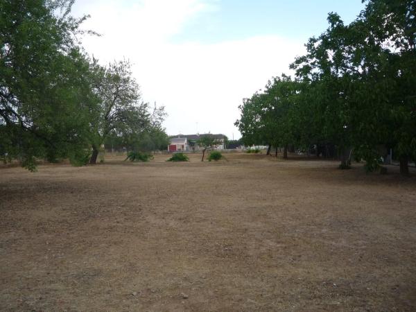 Terreno en calle del Ruiseñor, 4