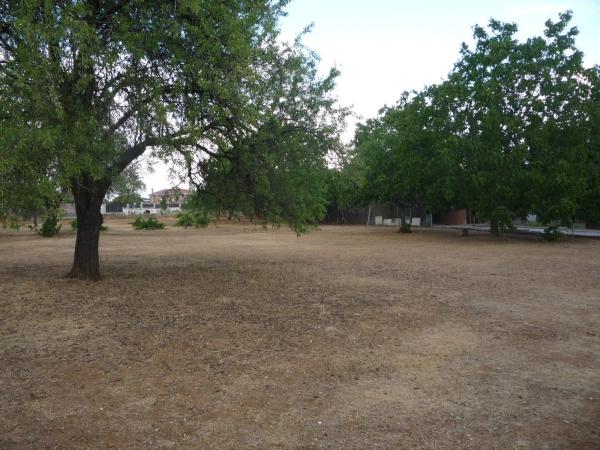 Terreno en calle del Ruiseñor, 4