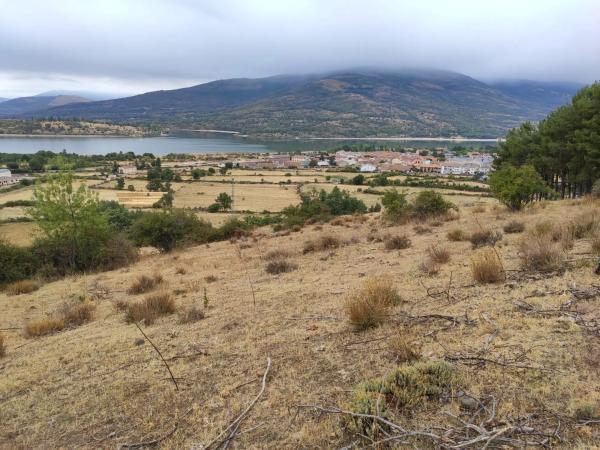 Terreno en camino del Pinarcillo, 4