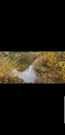 Terreno en Paraje el tomillar s/n