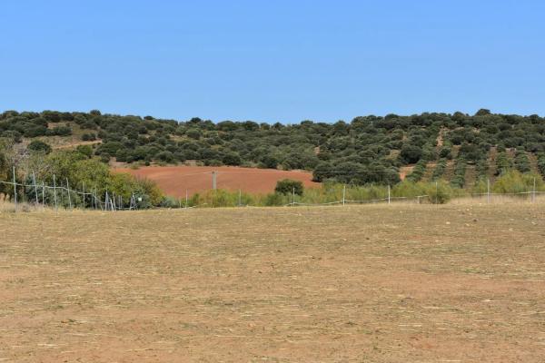 Terreno en Poligono 2