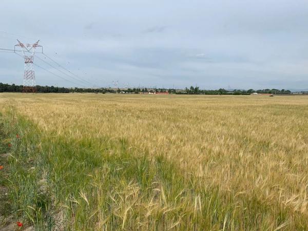 Terreno en camino de barajas s/n