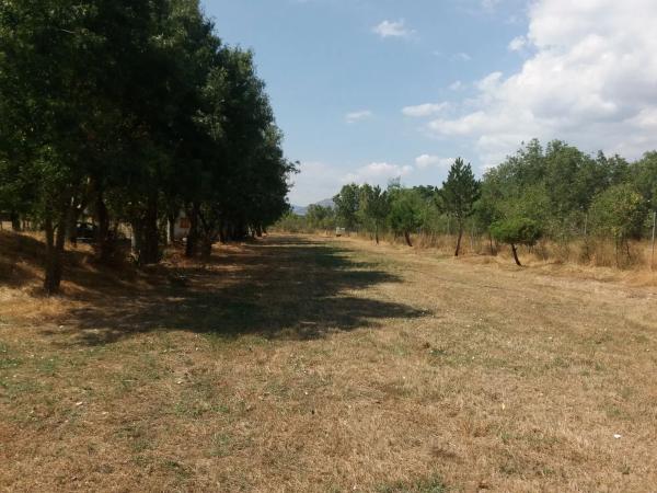 Terreno en Urbanización los Redondos, 75