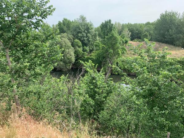 Terreno en camino de barajas s/n