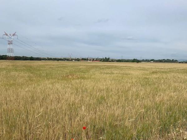 Terreno en camino de barajas s/n