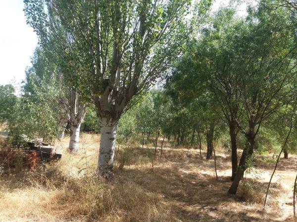Terreno en Urbanización los Redondos, 75