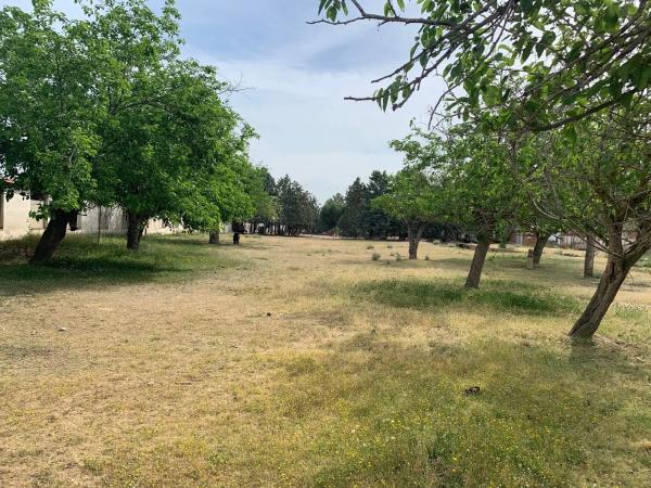 Terreno en camino de barajas s/n