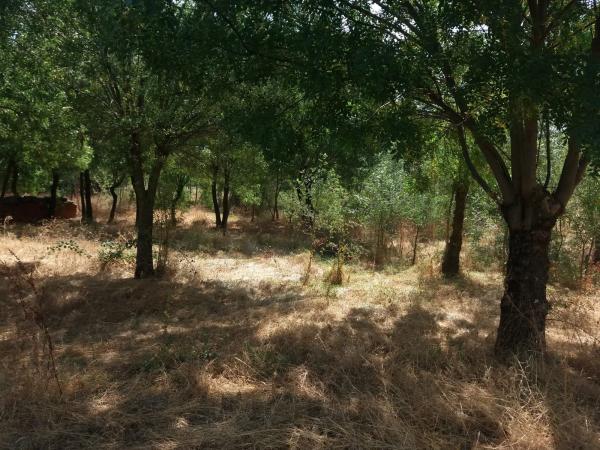 Terreno en Urbanización los Redondos, 75