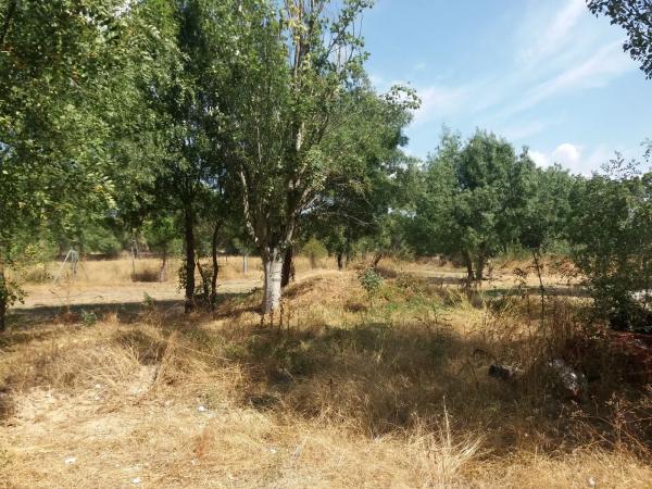 Terreno en Urbanización los Redondos, 75