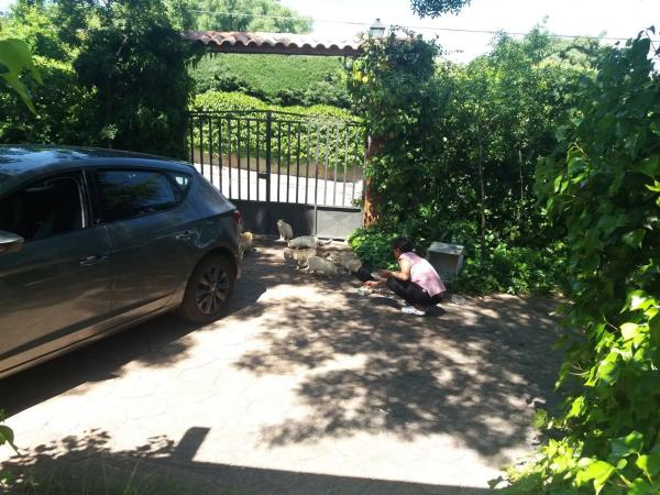 Terreno en Urbanización los Redondos, 75